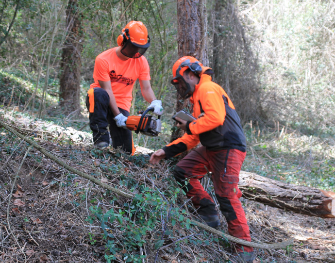 MEETING OF THE CALL4FOREST PROJECT
